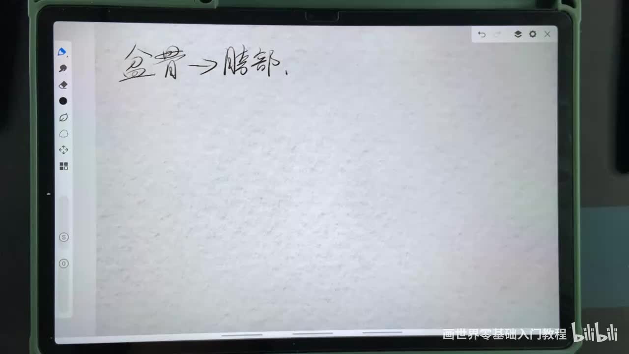 【人体篇】13.跨部
