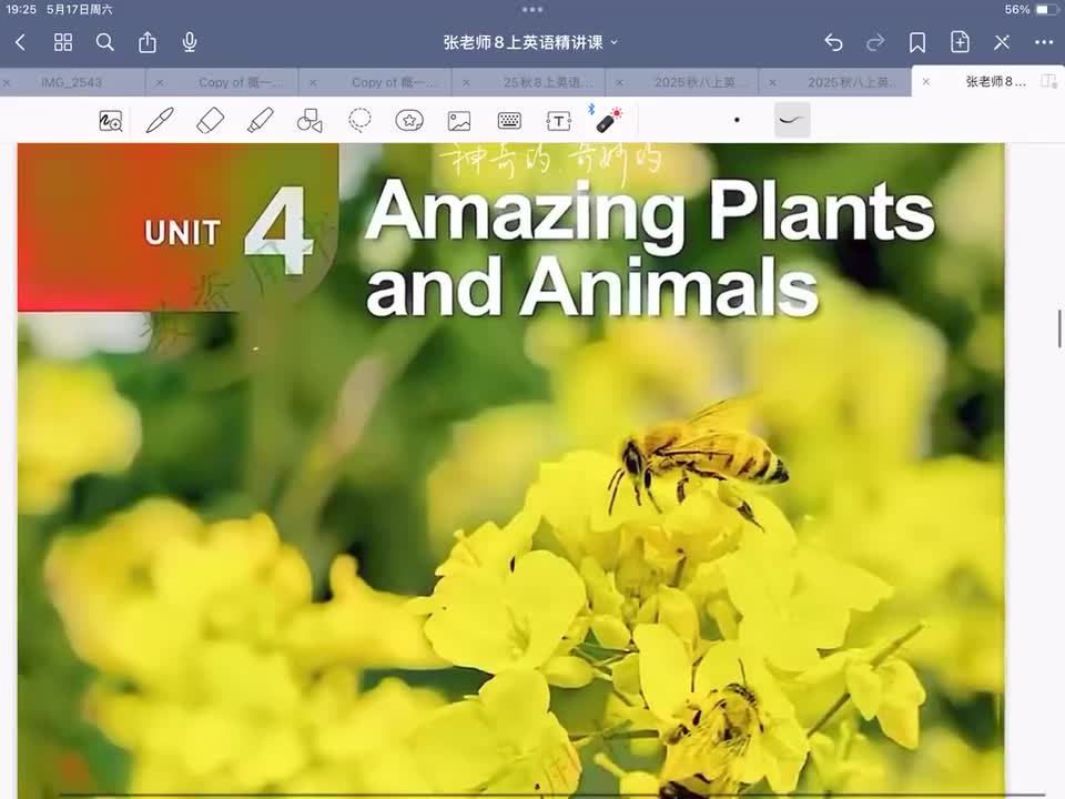 Unit 4 课文讲解 上