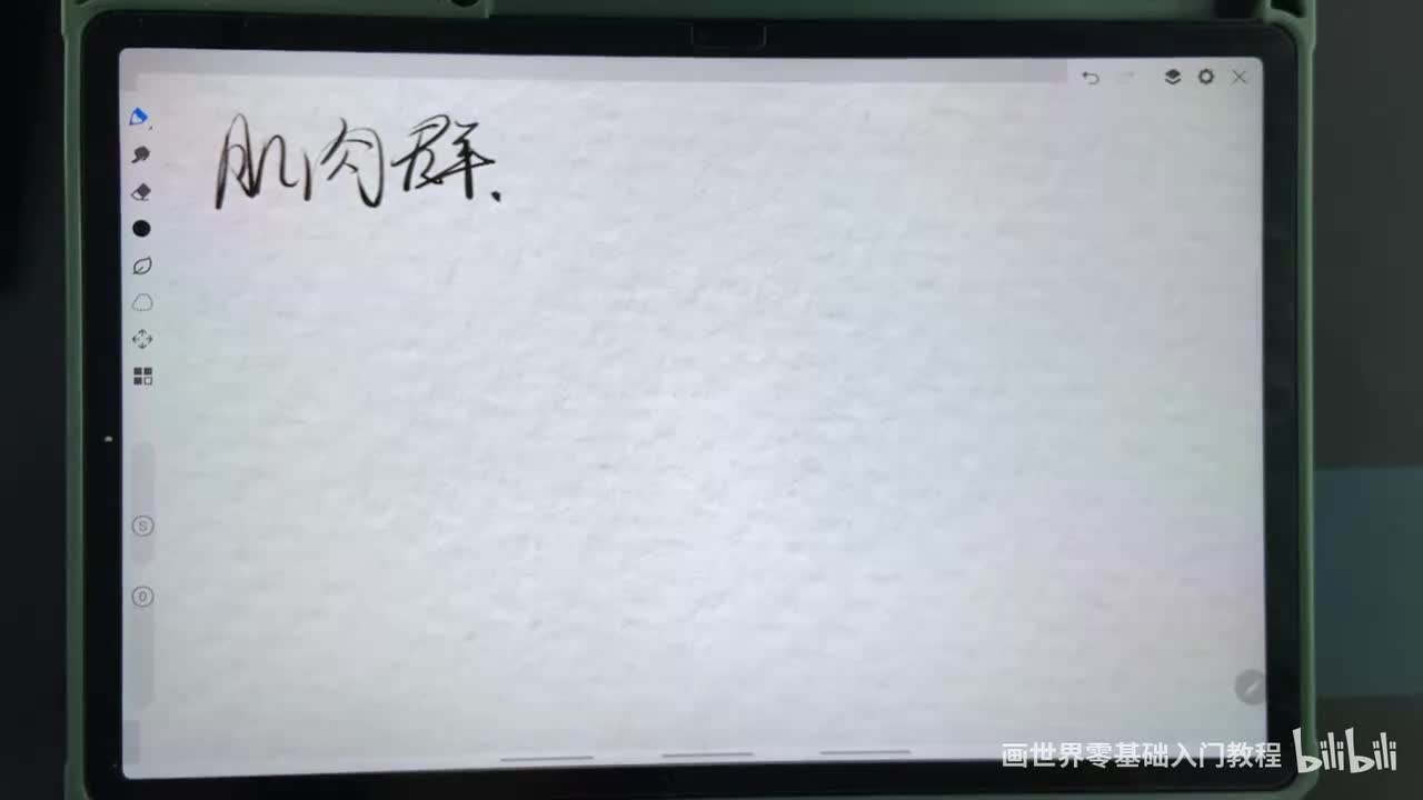 【人体篇】14.肌肉群