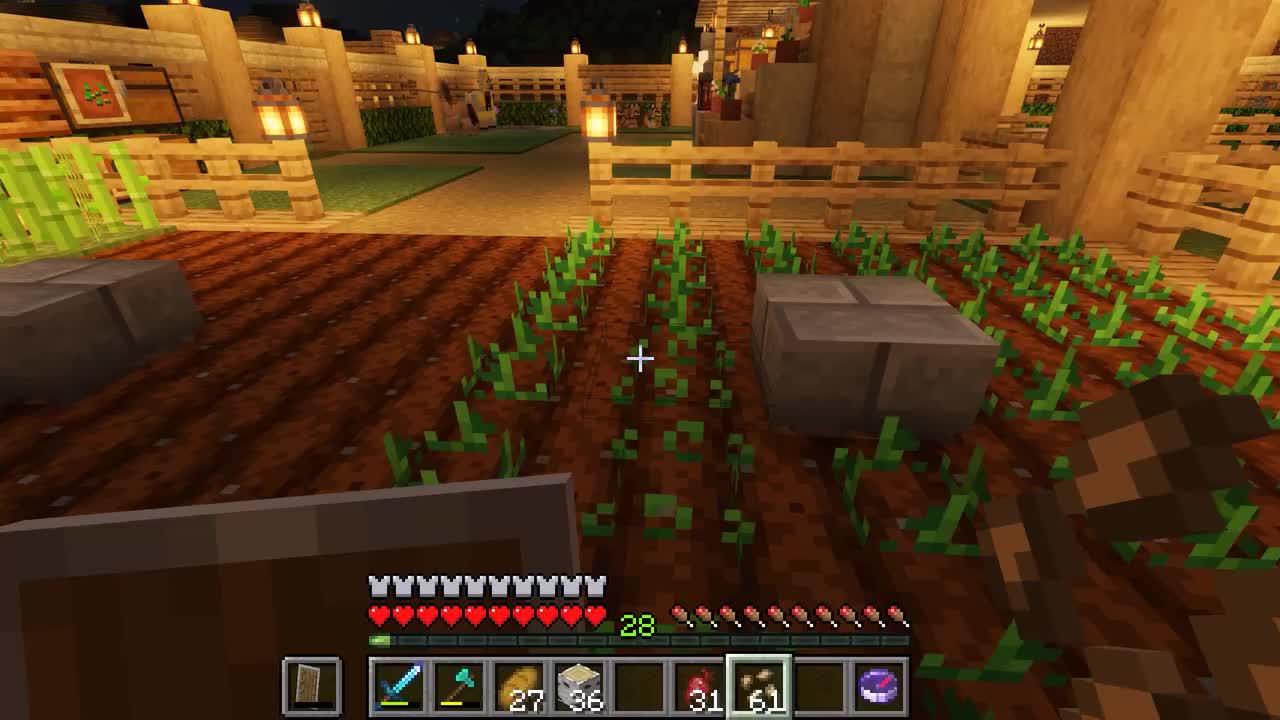 骑上心爱的小马