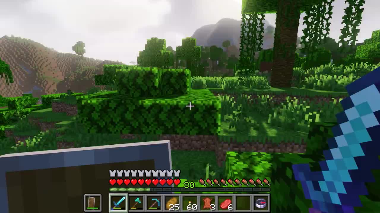 我找到丛林神庙啦