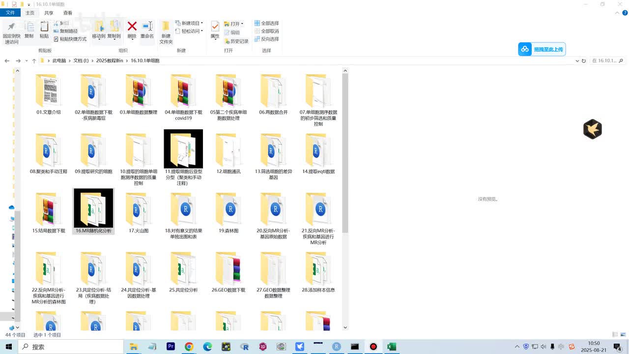 16.MR随机化分析