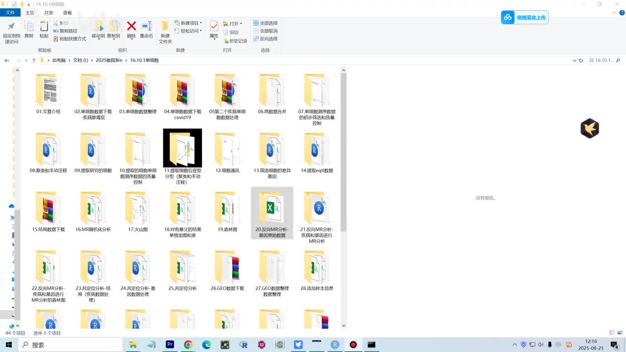 20.反向MR分析-基因原始数据