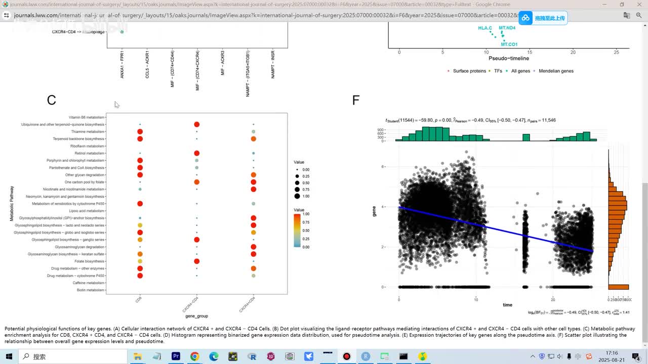 30.基因分阴性阳性的单细胞分析