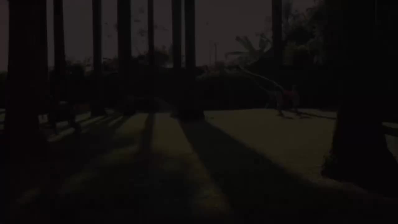 一年级(上) 02.找呀找呀找朋友：《我是小学生》