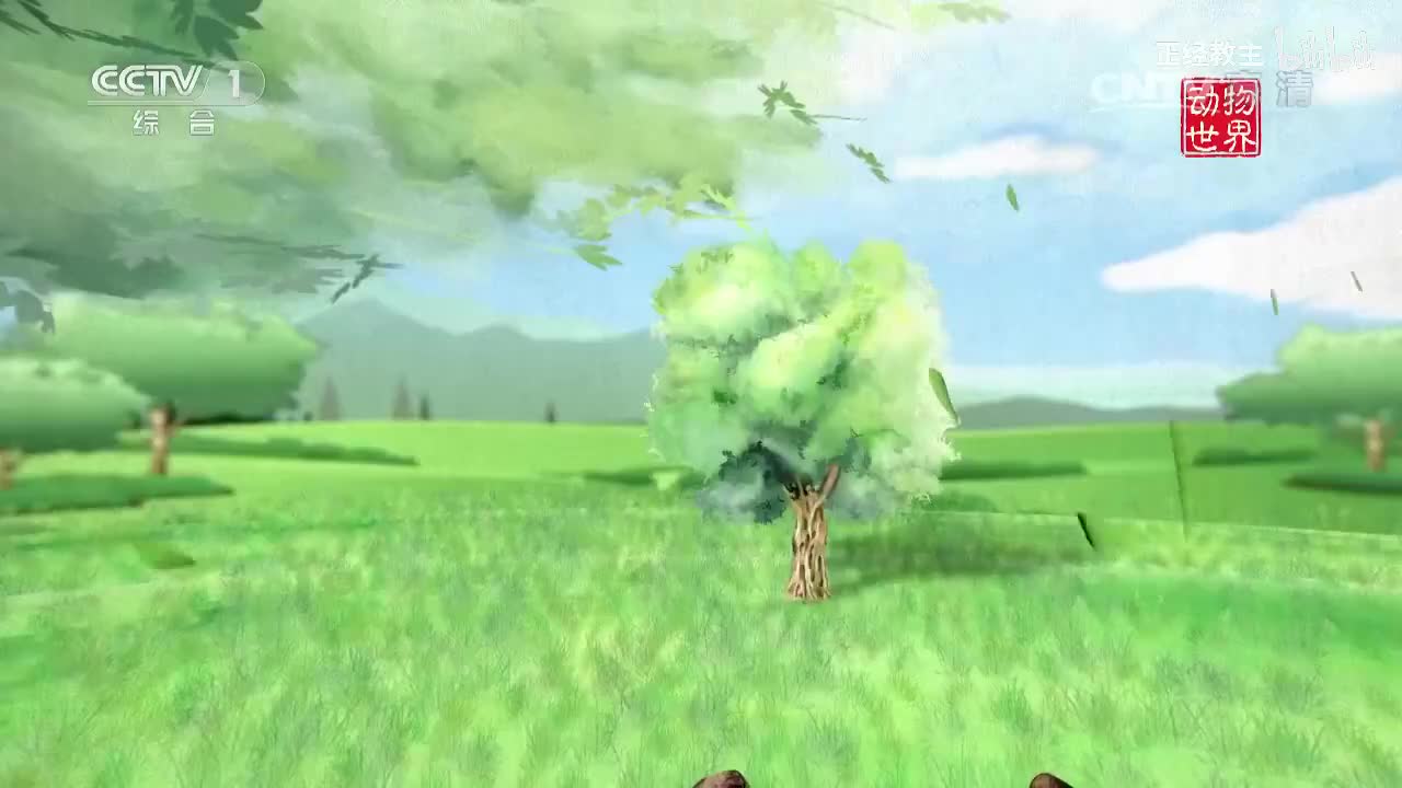 《动物世界》 20170422 狮王家族的领地之战[超清版]