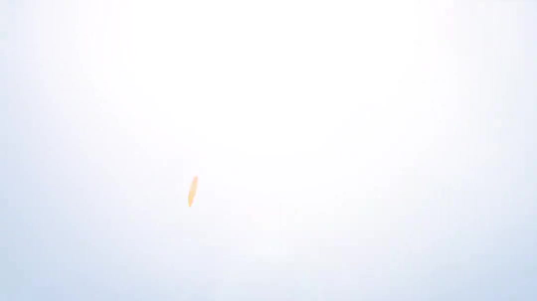 8.7.数据库的备份、回溯