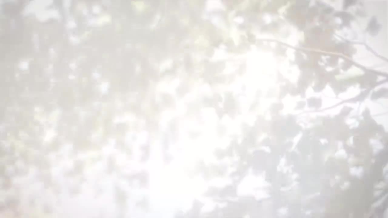 【PV】至心栖之处