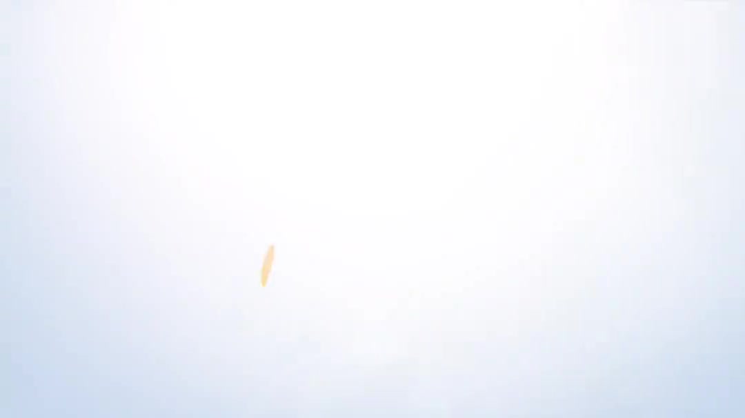 10.3-绘图及料单区域位置修改