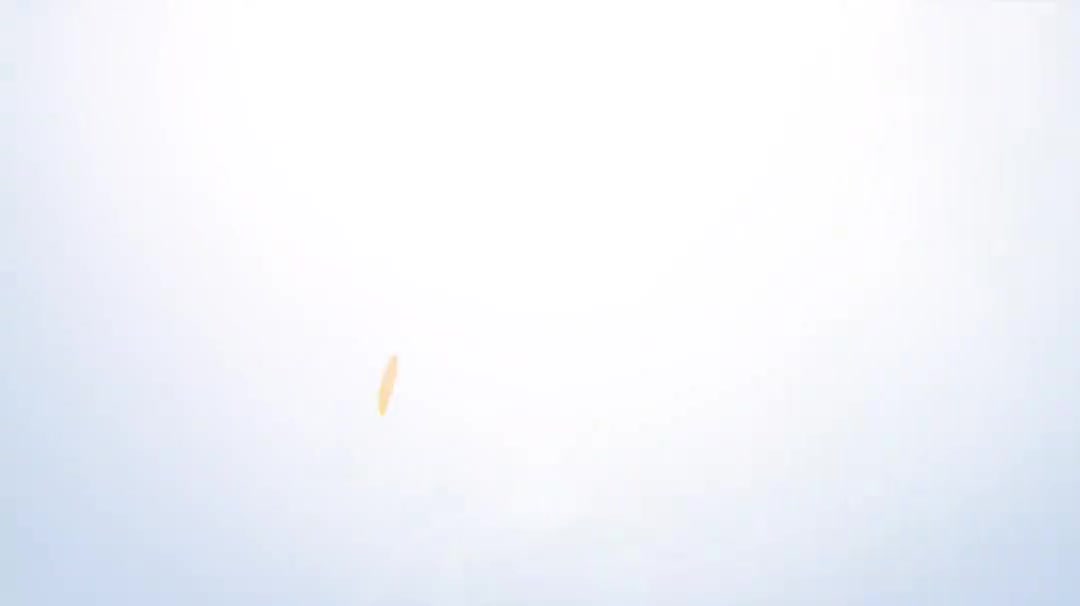 7.1平面图面板功能、数据层次、ADP出图