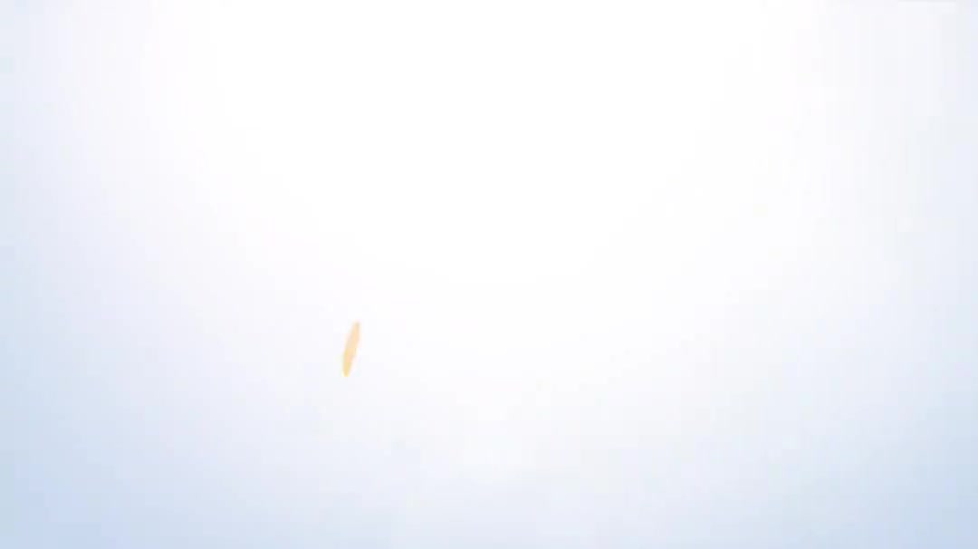 4.10管道开孔功能