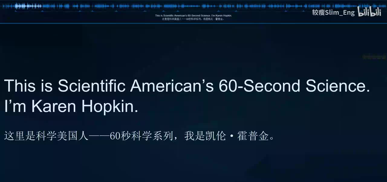 0154 科学美国人- 单词的形状（上）