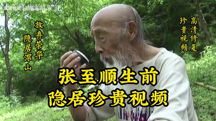 47-张至顺道长生前珍贵视频隐居南山纪录片字幕完整版-480P 标清-AVC