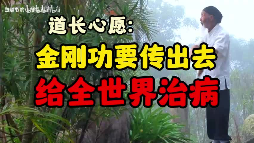 95-张至顺道长心愿：金刚功要传出去给全世界治病-480P 标清-AVC