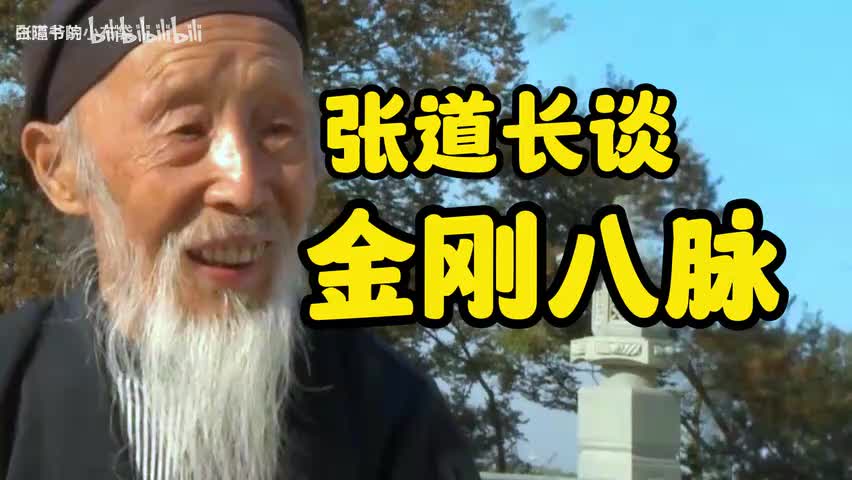 84-张道长谈金刚八脉-480P 标清-AVC