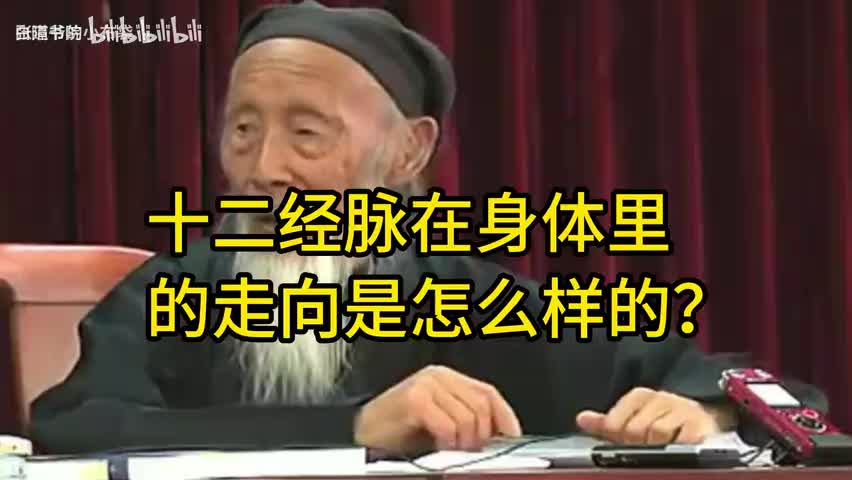 98-十二经脉在身体的走向是怎么样的？-480P 标清-AVC