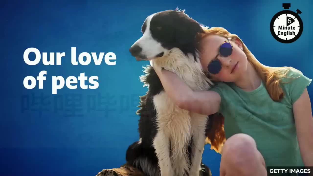 54.Our love of pets 我们对宠物的爱