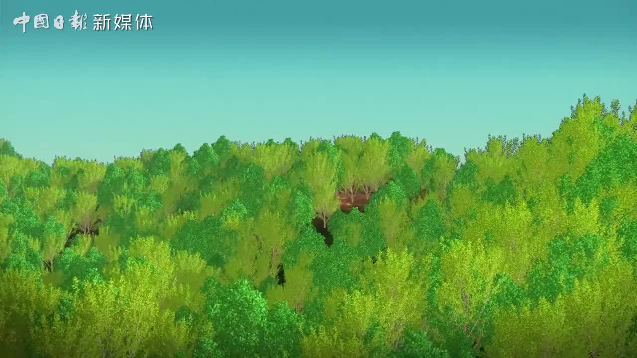 6：北京大兴国际机场