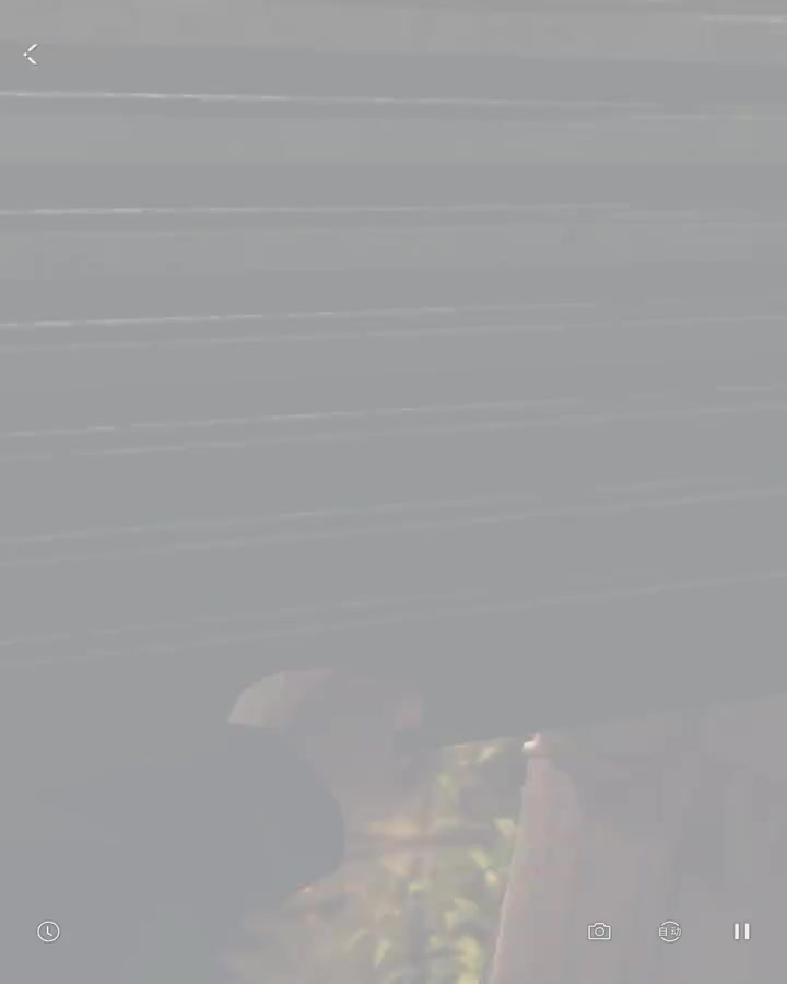 【心迹】一往而深