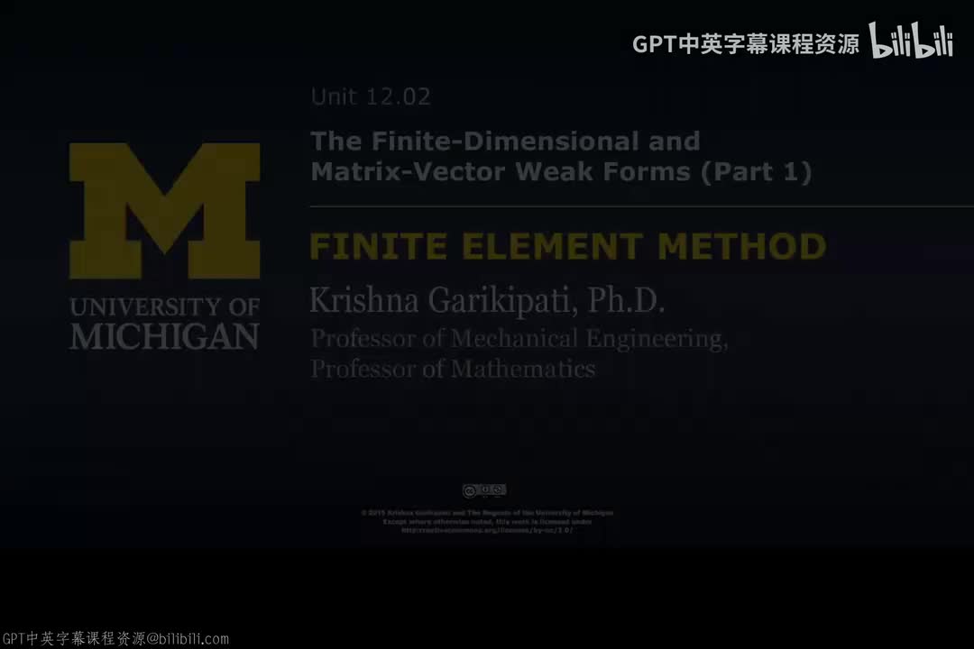 161_12 02 有限维与矩阵-向量弱形式 I.zh_en