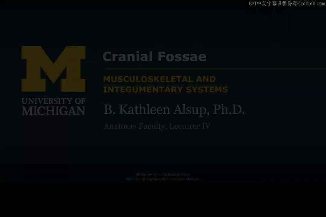 14_颅骨颅窝.zh_en