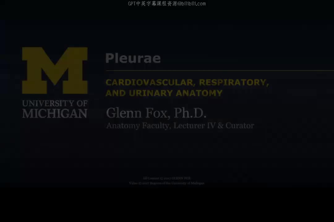 27_胸膜与呼吸肌.zh_en