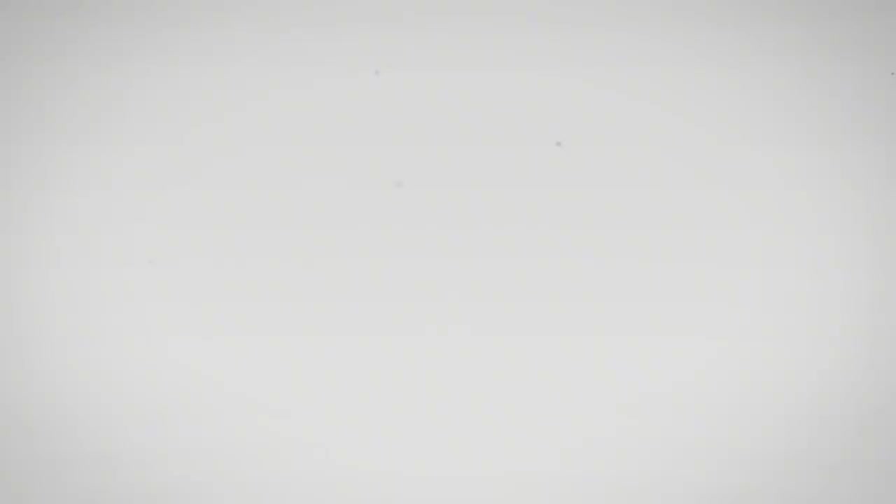 14_第二式：左右野马分鬃