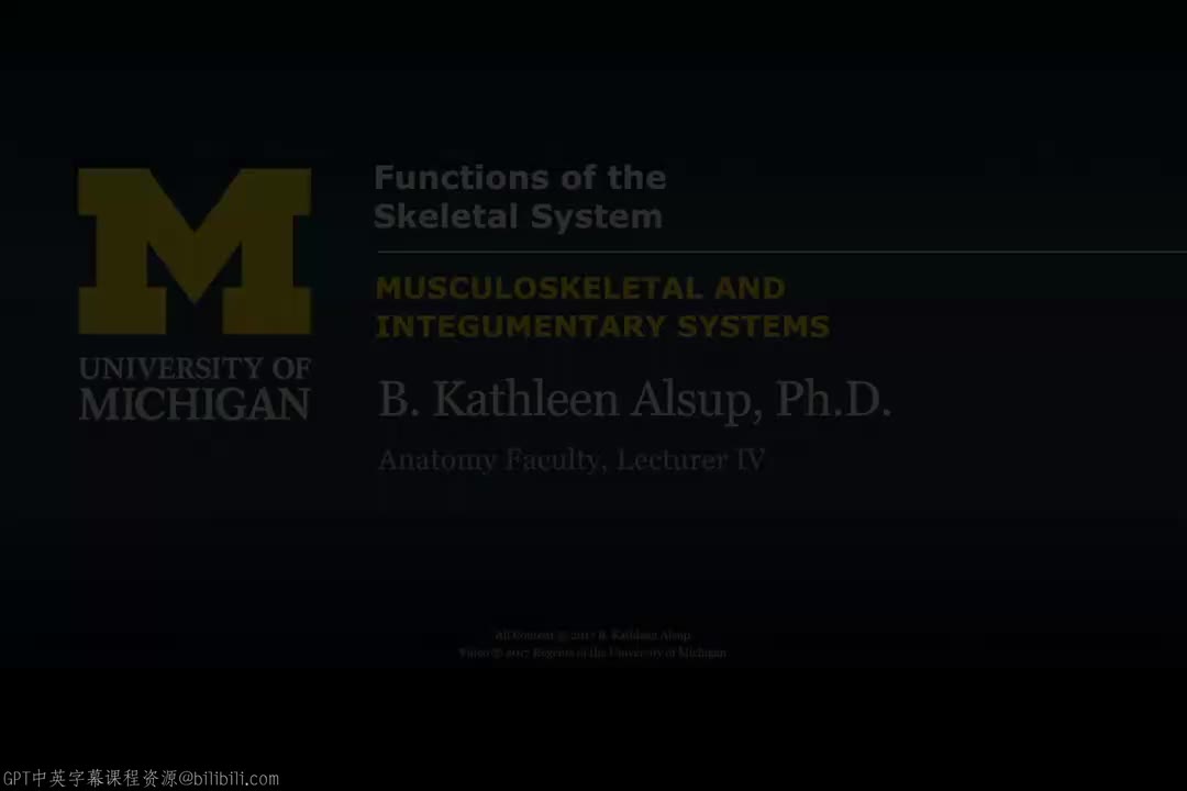 1_骨骼系统的功能.zh_en