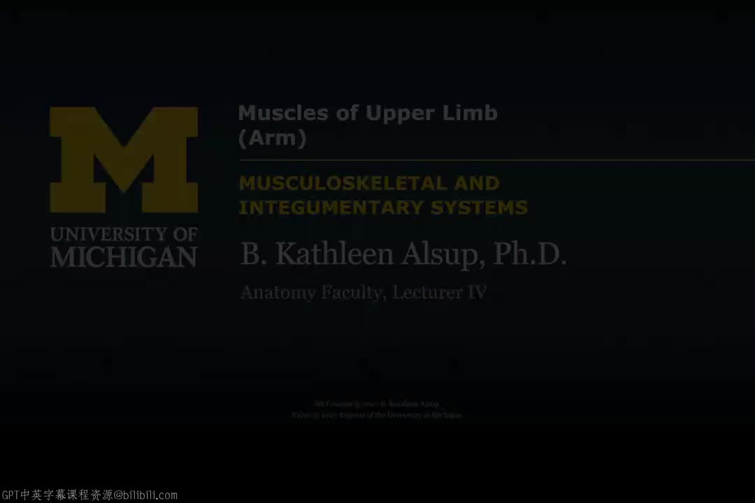 61_上肢肌肉：臂部.zh_en