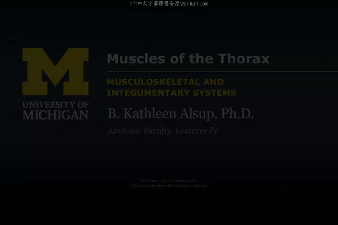 57_胸部肌肉.zh_en