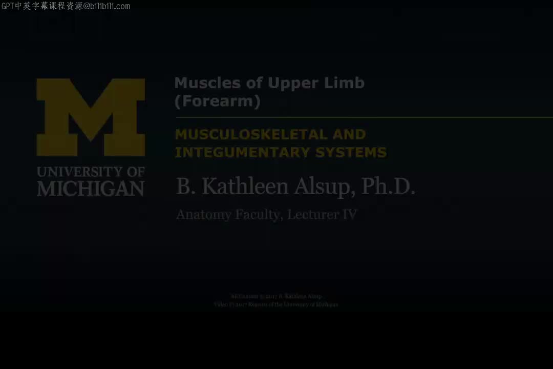 62_上肢肌肉：前臂.zh_en