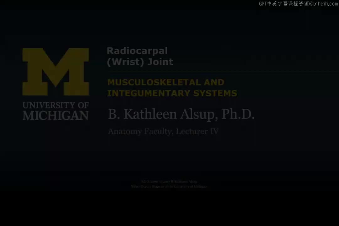 48_桡腕关节（腕关节）.zh_en