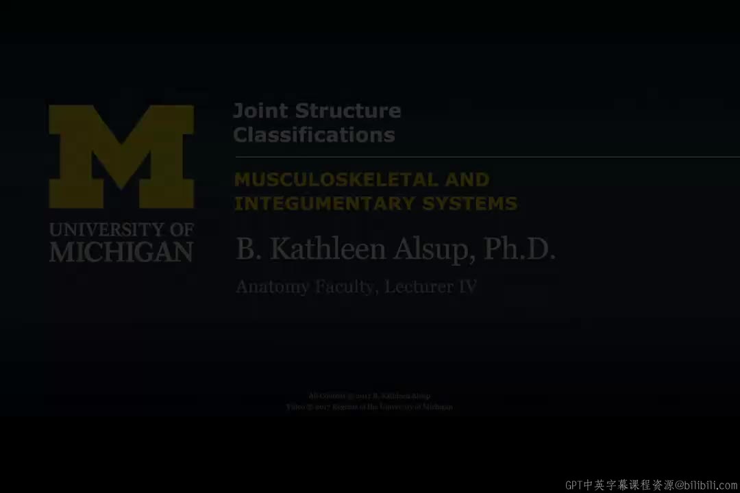 38_关节结构分类.zh_en