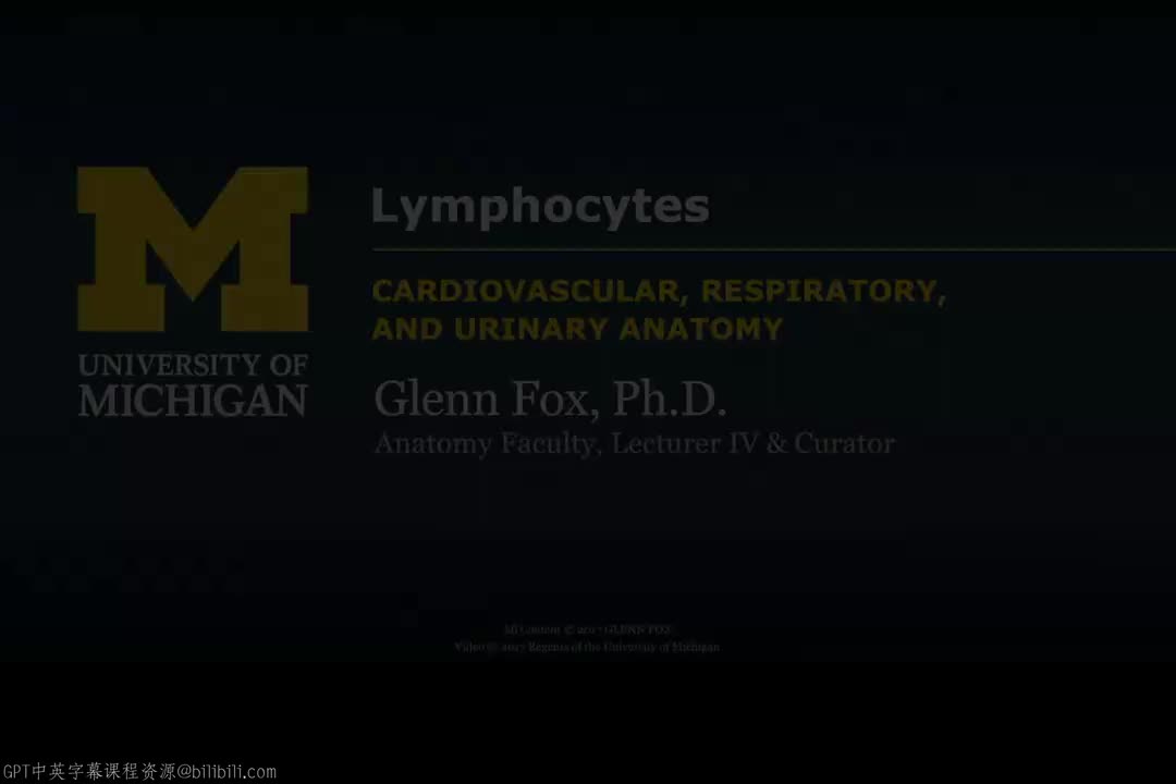 6_淋巴细胞.zh_en