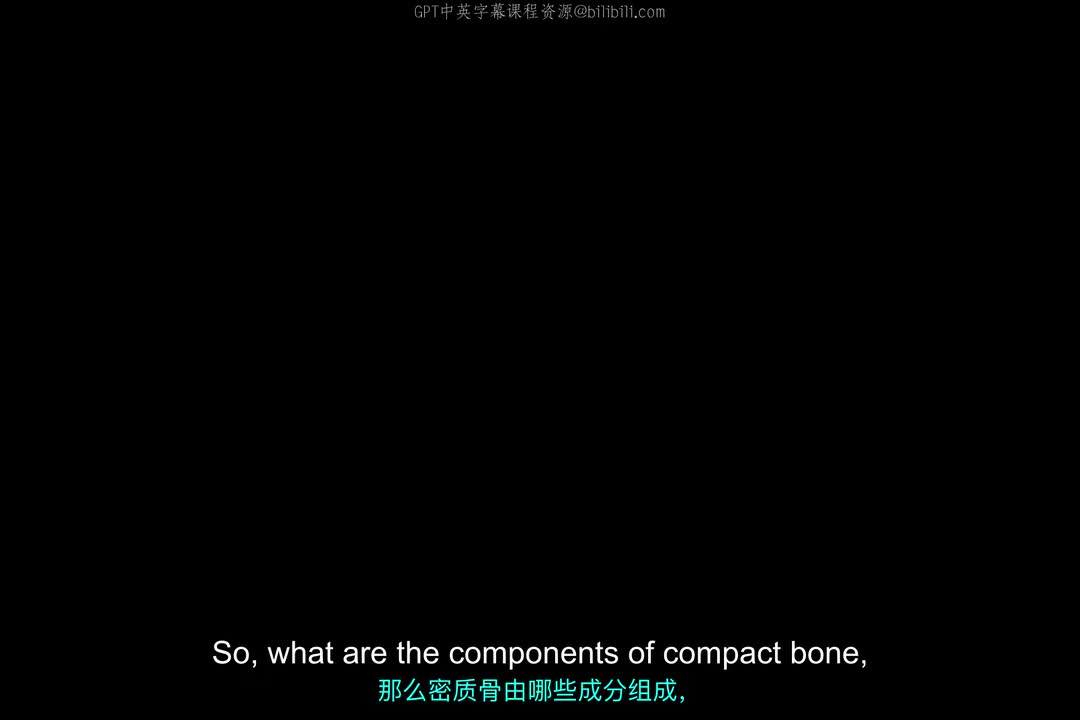 5_密质骨的组成.zh_en