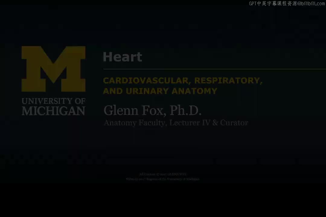 8_心脏.zh_en