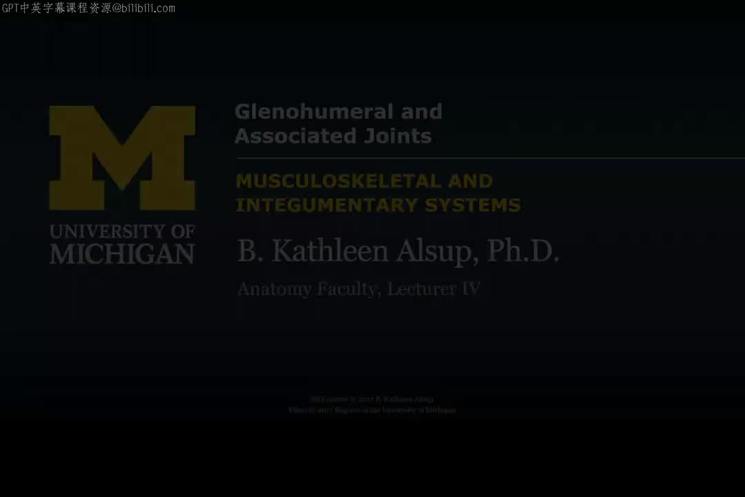 46_盂肱关节及相关关节.zh_en