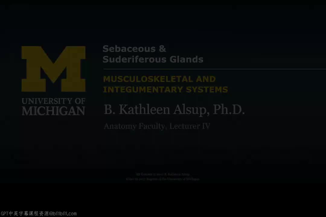 74_皮肤腺体.zh_en