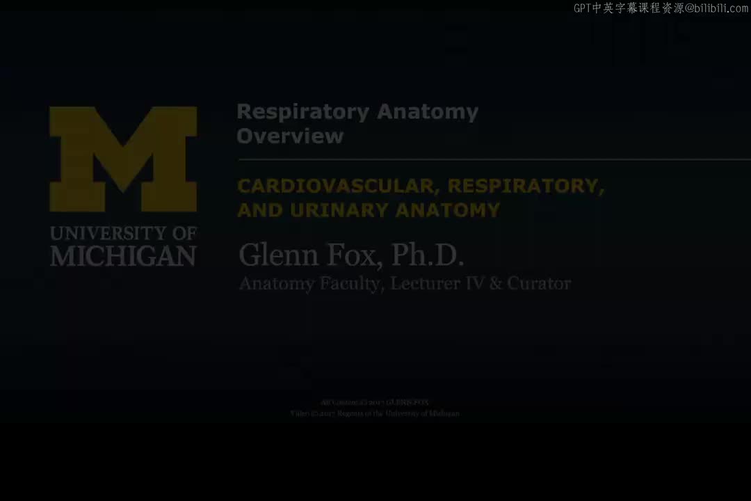 20_呼吸功能.zh_en