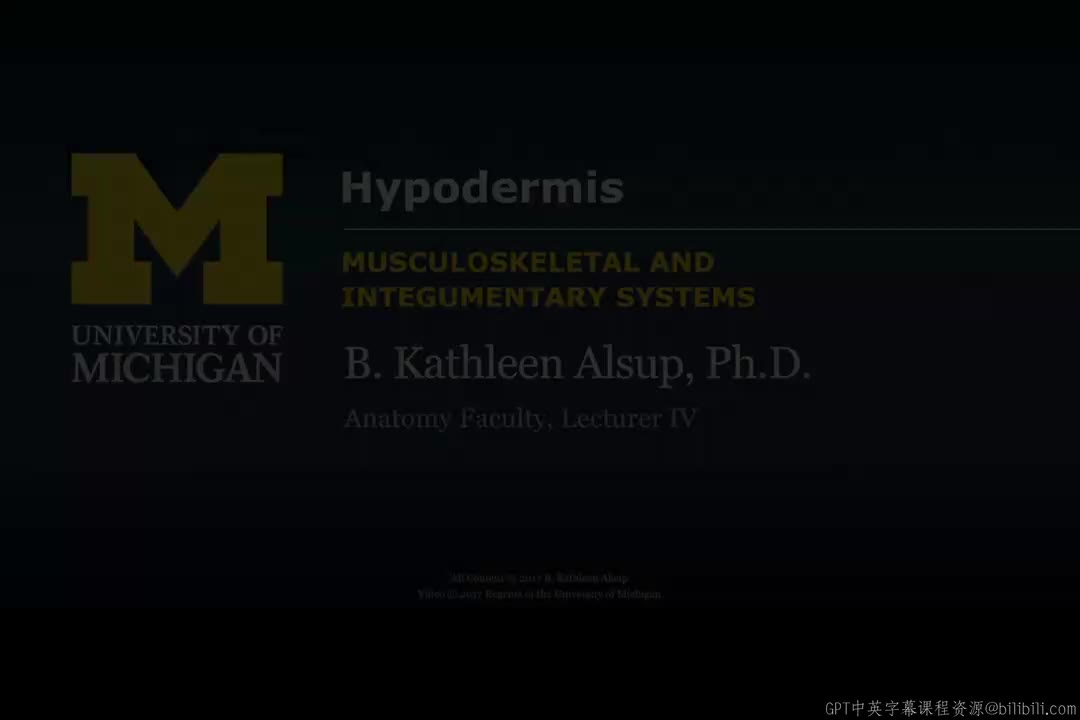 72_皮下组织.zh_en