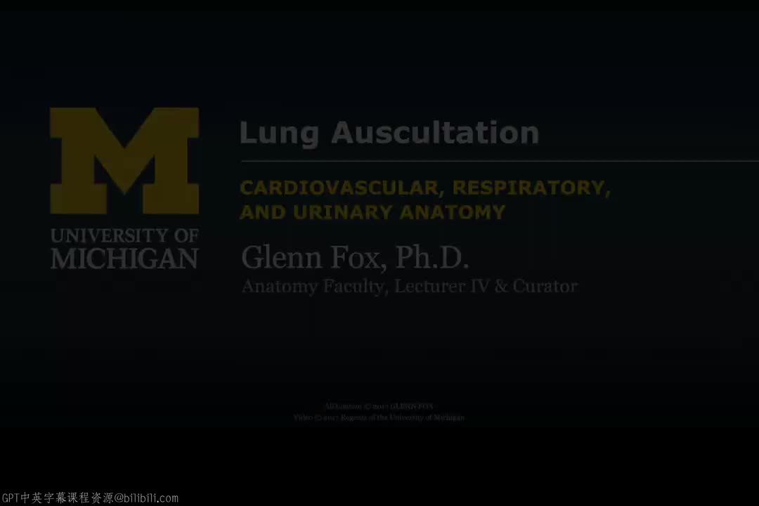 28_肺听诊演示.zh_en