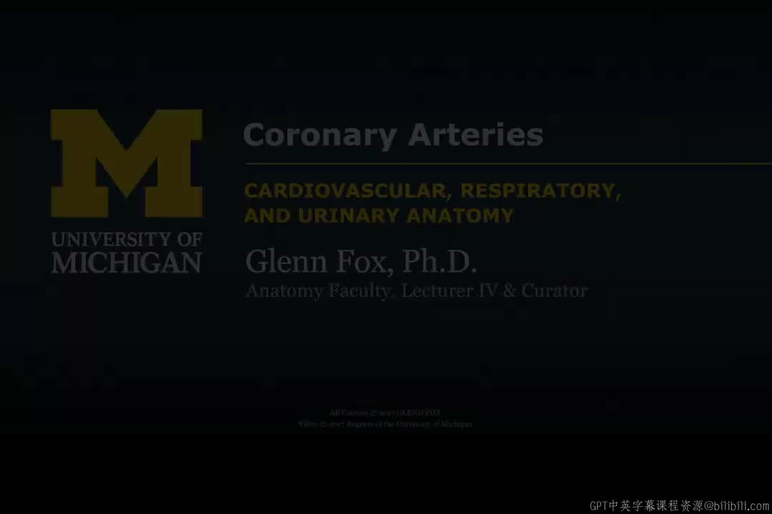 11_心脏血管系统.zh_en