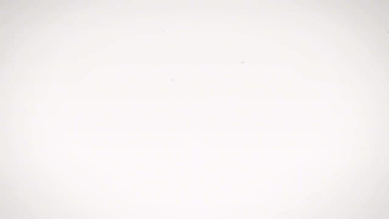 29_第十七式：右下势独立