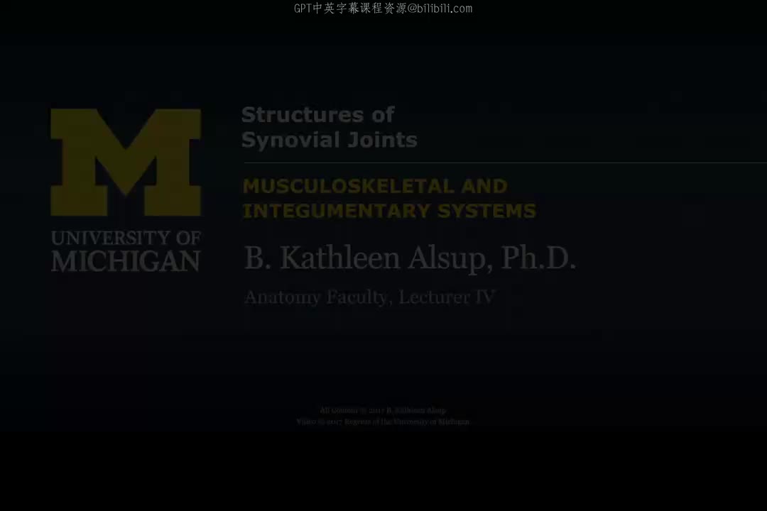 40_滑膜关节的结构.zh_en