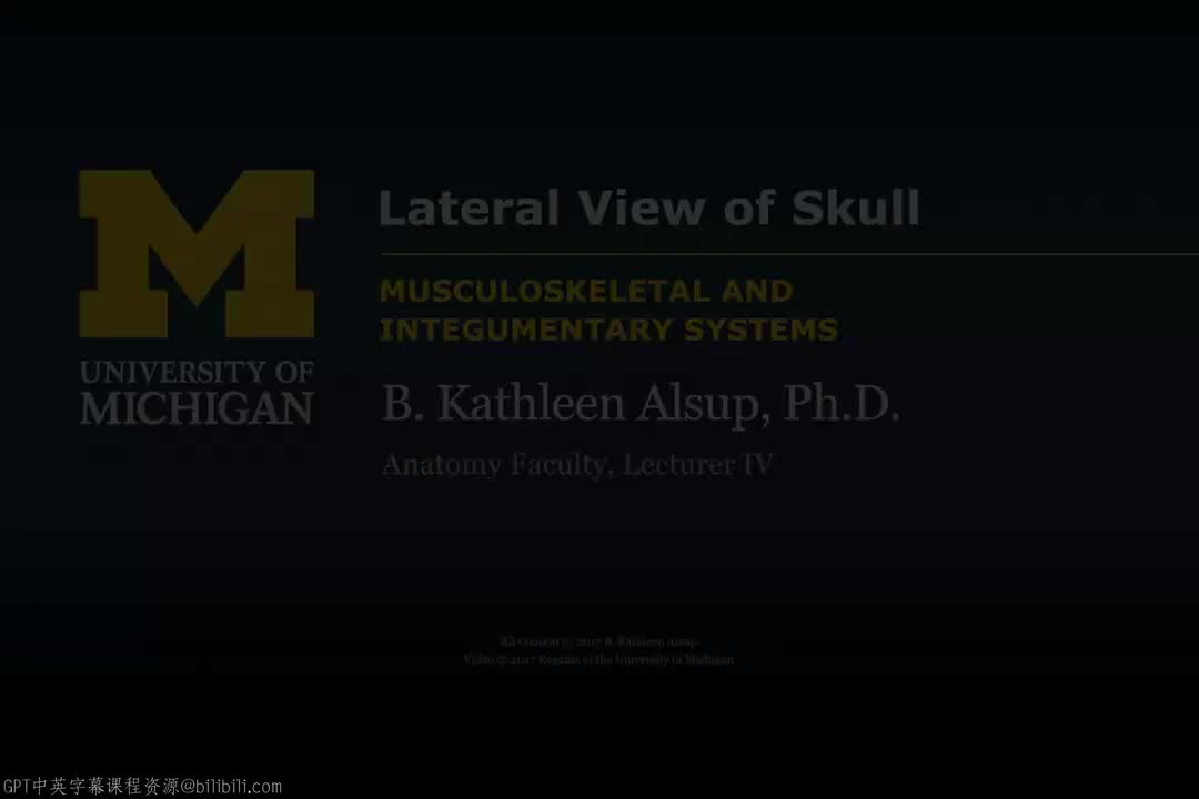17_颅骨侧面观.zh_en