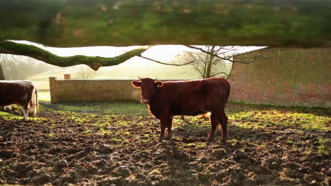 走进工厂 牛奶 7