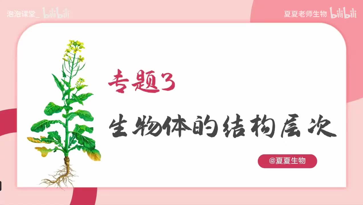 中考生物一轮复习——专题03《生物体的结构层次》