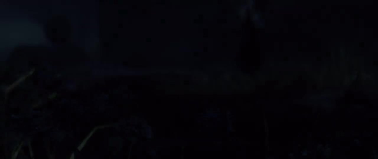 第二幕：维尔索