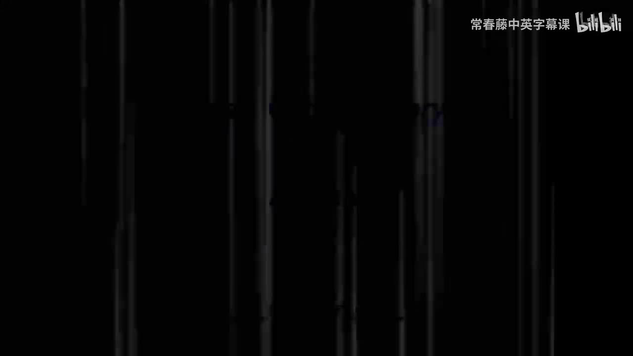 13 - Capacitors and Their Properties