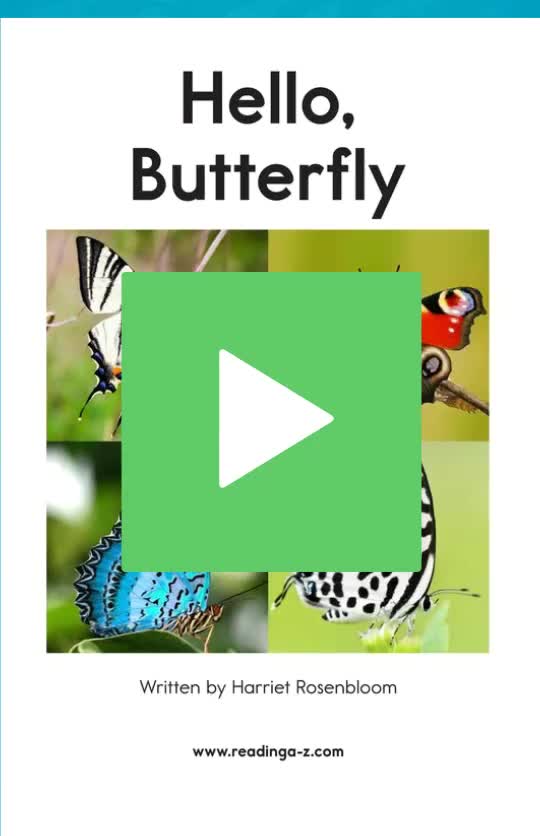 A-15 Hello Butterfly